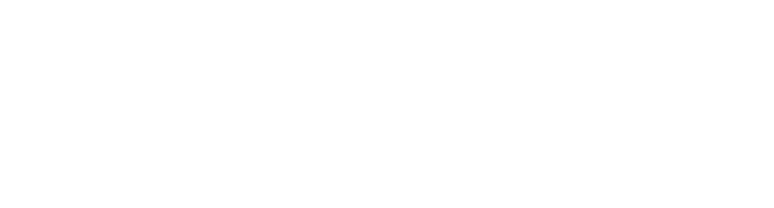 vse logo